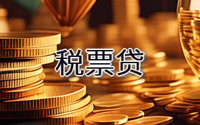 贺州税票贷
